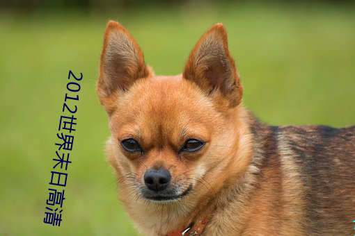 2012世(世)界末(末)日高清