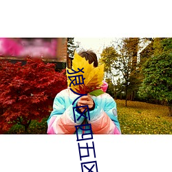 狼人區四五區