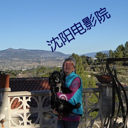 沈(沈)阳电影(影)院(院)