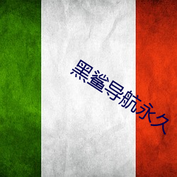黑鲨导航永久