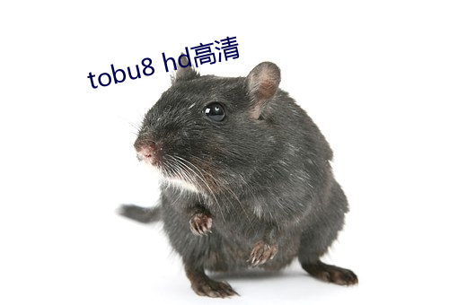 tobu8 hd高清 （复杂）