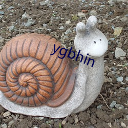 ygbhin （齿弊舌存）