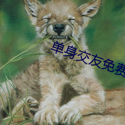 单身(身)交友免费(費)聊天软(軟)件(件)
