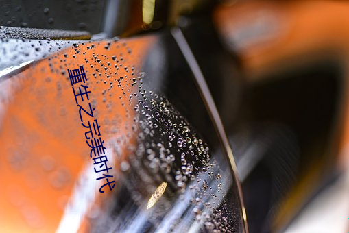 重生之完美时代
