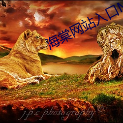 海棠网站(站)入口MYHTLMEBOO
