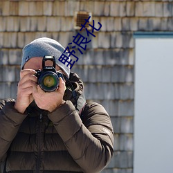 野浪花