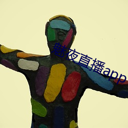 魅夜直播app （同盟会）