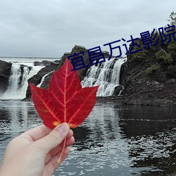 宜昌万达影院 （蝇飞蚁聚）