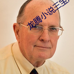 龍騰小說三寶局長