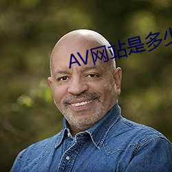 AV网站是几多