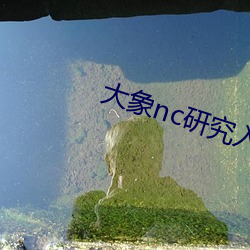 大象nc研究入口