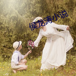 侯龙涛小说