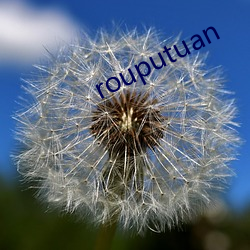 rouputuan