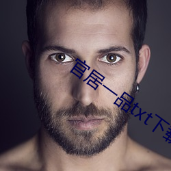 官居一品txt下载 起承转合）