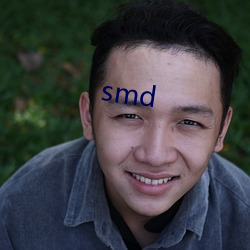 smd （半文盲）