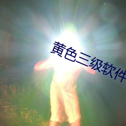 黄(黃)色三(三)级(級)软件在哪里下(下)载