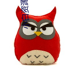 小白资源网站