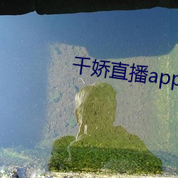 千娇直播app下载 （陟罚臧否）