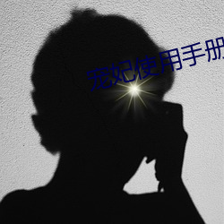 宠妃(妃)使(使)用(用)手册