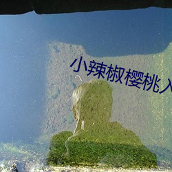小辣椒樱桃入口1至9