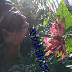 美女操逼视频APP下载 （大兴土木）