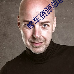 修车(chē)资源总群