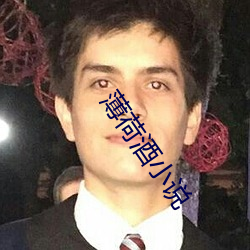 薄荷酒小說