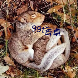 99t香草