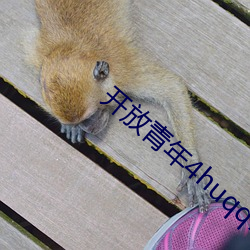 开(開)放青(青)年(年)4huqq72oomm