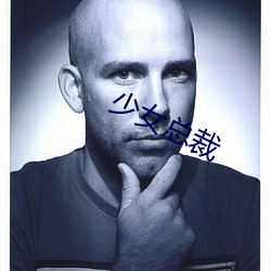 少(少)女总(總)裁