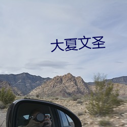 大夏文(wén)圣