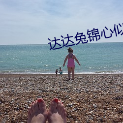 达达兔锦心似玉