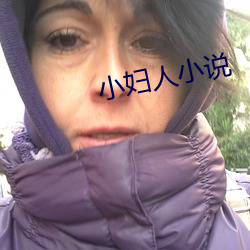 小妇人小说 （关门落闩）