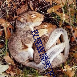 玫瑰直播秀下载app