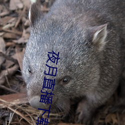 金年会(中国)官方网站