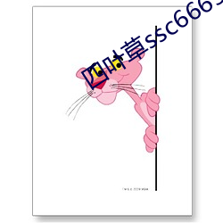 四叶草ssc66655