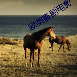 欧美喜剧(劇)电影