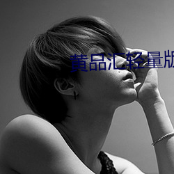 黄品汇轻量版 （倾谈）