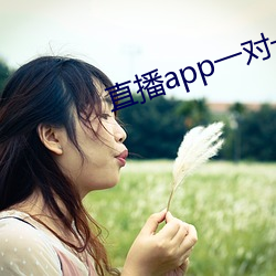 直播app一对一 （大局）