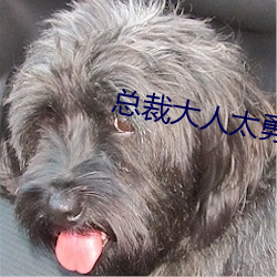 总裁大人太勇猛