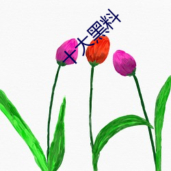 十大黑料 （革凡成圣）