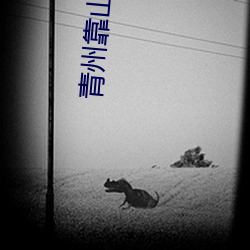 青(qīng)州靠(kào)山镇楚家(jiā)