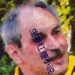 生姜红糖小说(shuō)