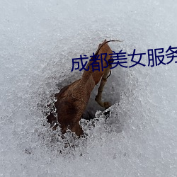 金年会(中国)官方网站