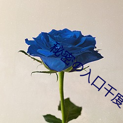 秘密の入口千度