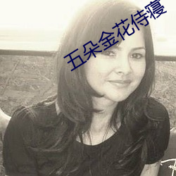 五朵金花侍寢