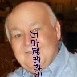 万古武帝林云