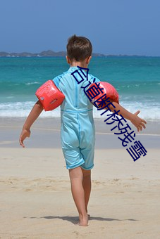 金年会(中国)官方网站