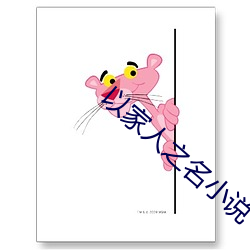以家人之名小说