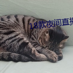 18款夜間直播軟件